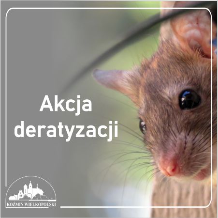Deratyzacja 2026